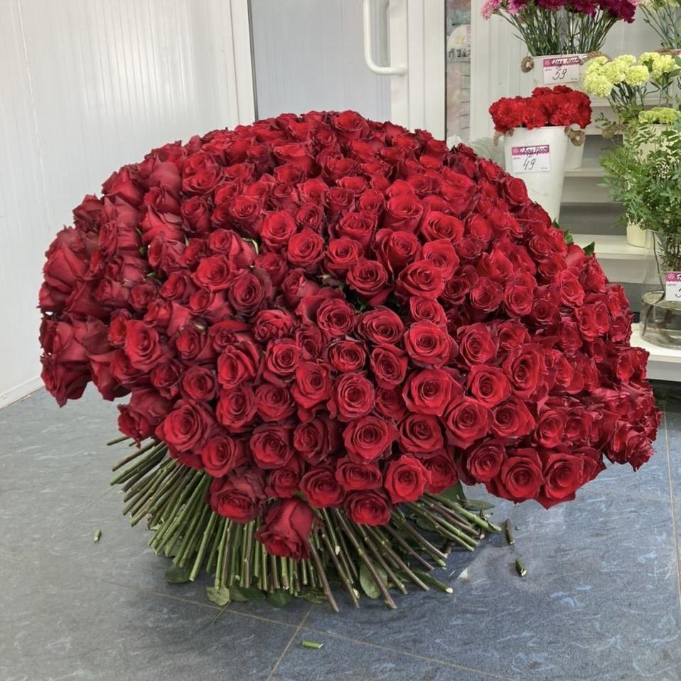 Букеты из красных роз 80 см (Эквадор) артикул букета - 181800