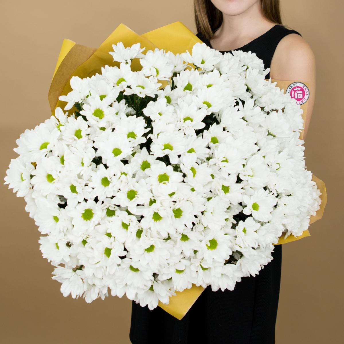 Хризантема белая (ромашка) код  2700