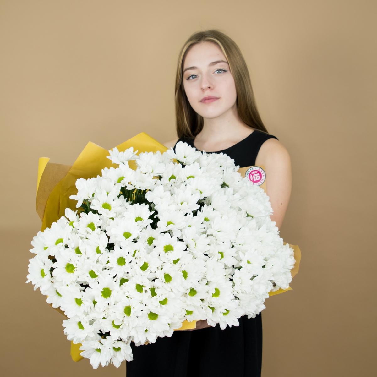 Хризантема белая (ромашка) код  2700
