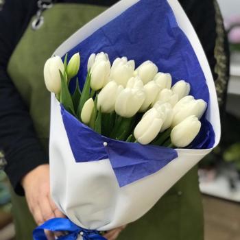 Белые тюльпаны 23 шт. №  301950