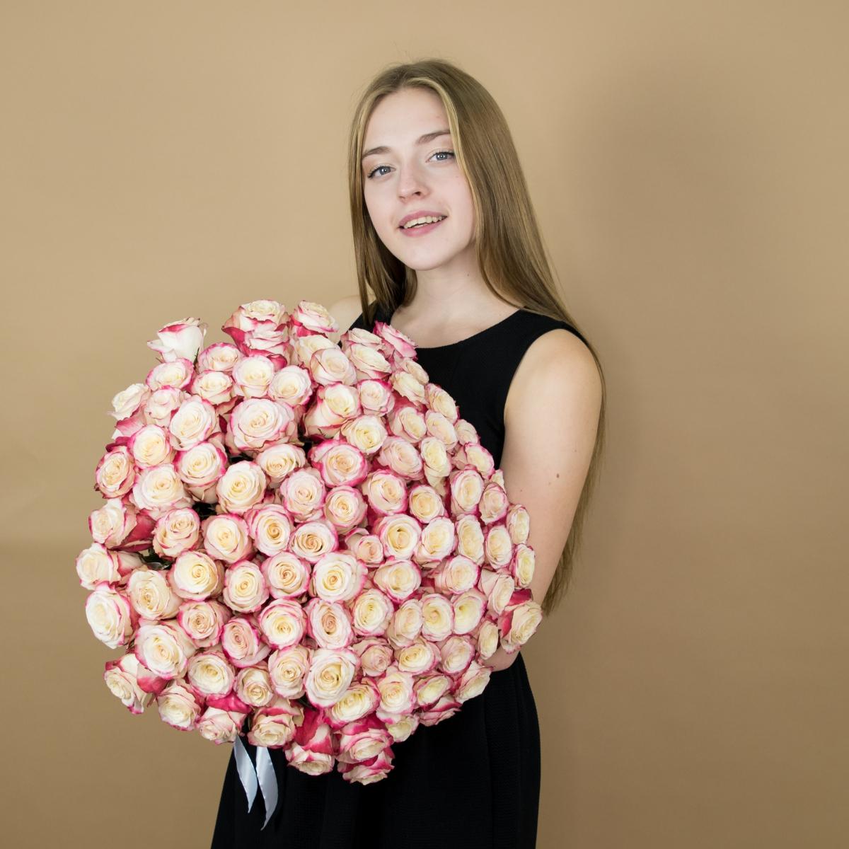 Розы красно-белые (40 см) Эквадор артикул букета: 450