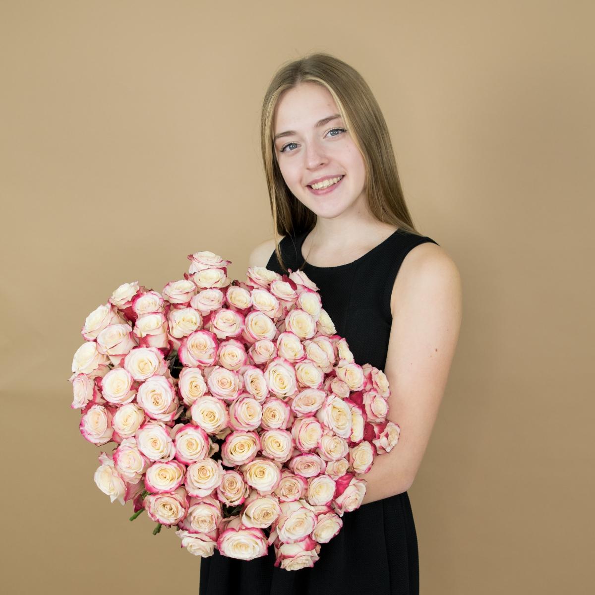 Розы красно-белые (40 см) Эквадор артикул букета: 450