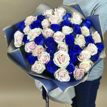 Белая и Синяя Роза 51шт 70см (Эквадор) articul  102900