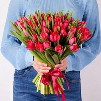 Тюльпаны красные 51 шт №  130650